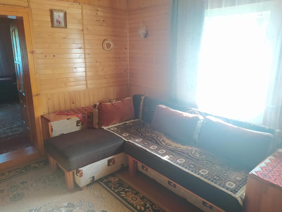 Starovitska Hata - Ethno-Cottage Verhovina Kültér fotó