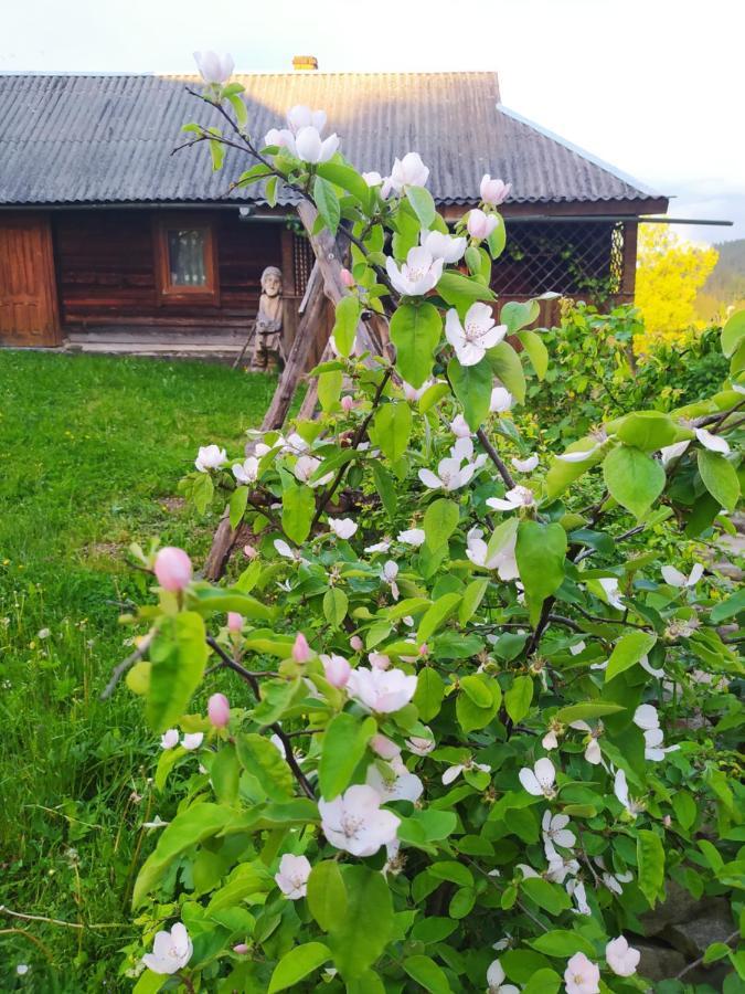 Starovitska Hata - Ethno-Cottage Verhovina Kültér fotó