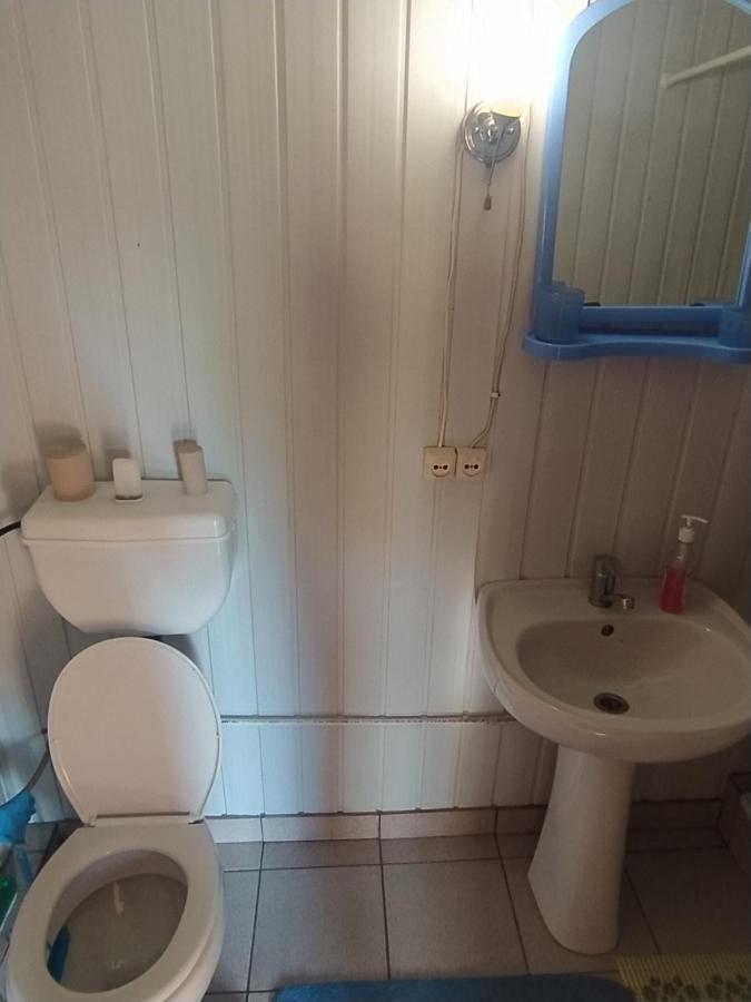 Starovitska Hata - Ethno-Cottage Verhovina Kültér fotó