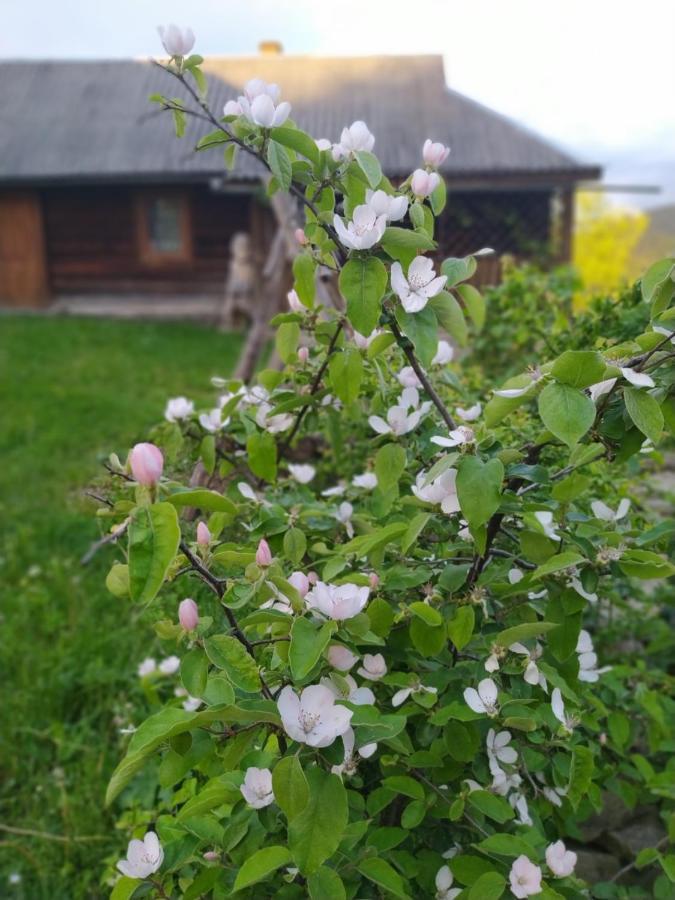 Starovitska Hata - Ethno-Cottage Verhovina Kültér fotó