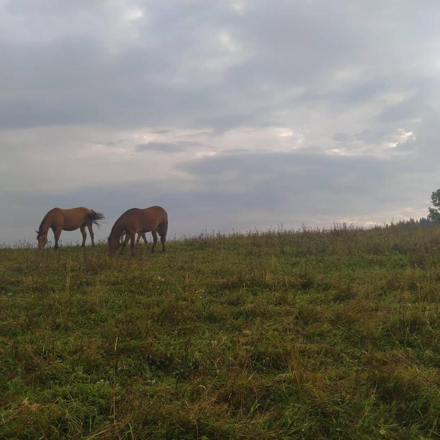 Starovitska Hata - Ethno-Cottage Verhovina Kültér fotó