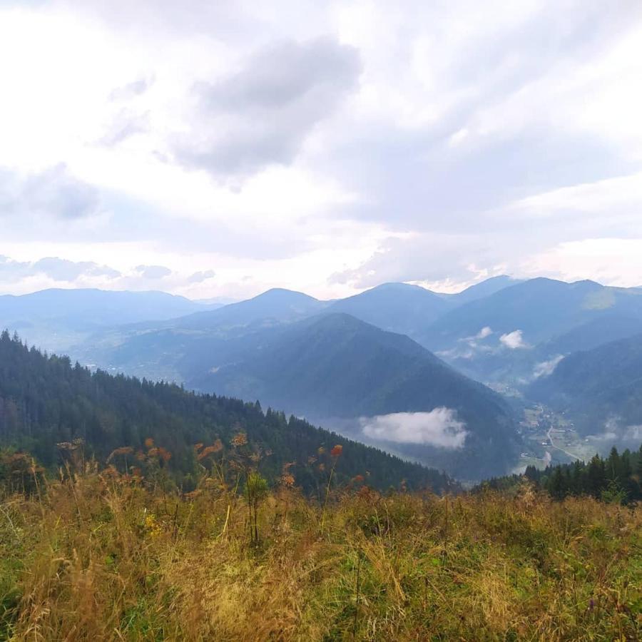 Starovitska Hata - Ethno-Cottage Verhovina Kültér fotó