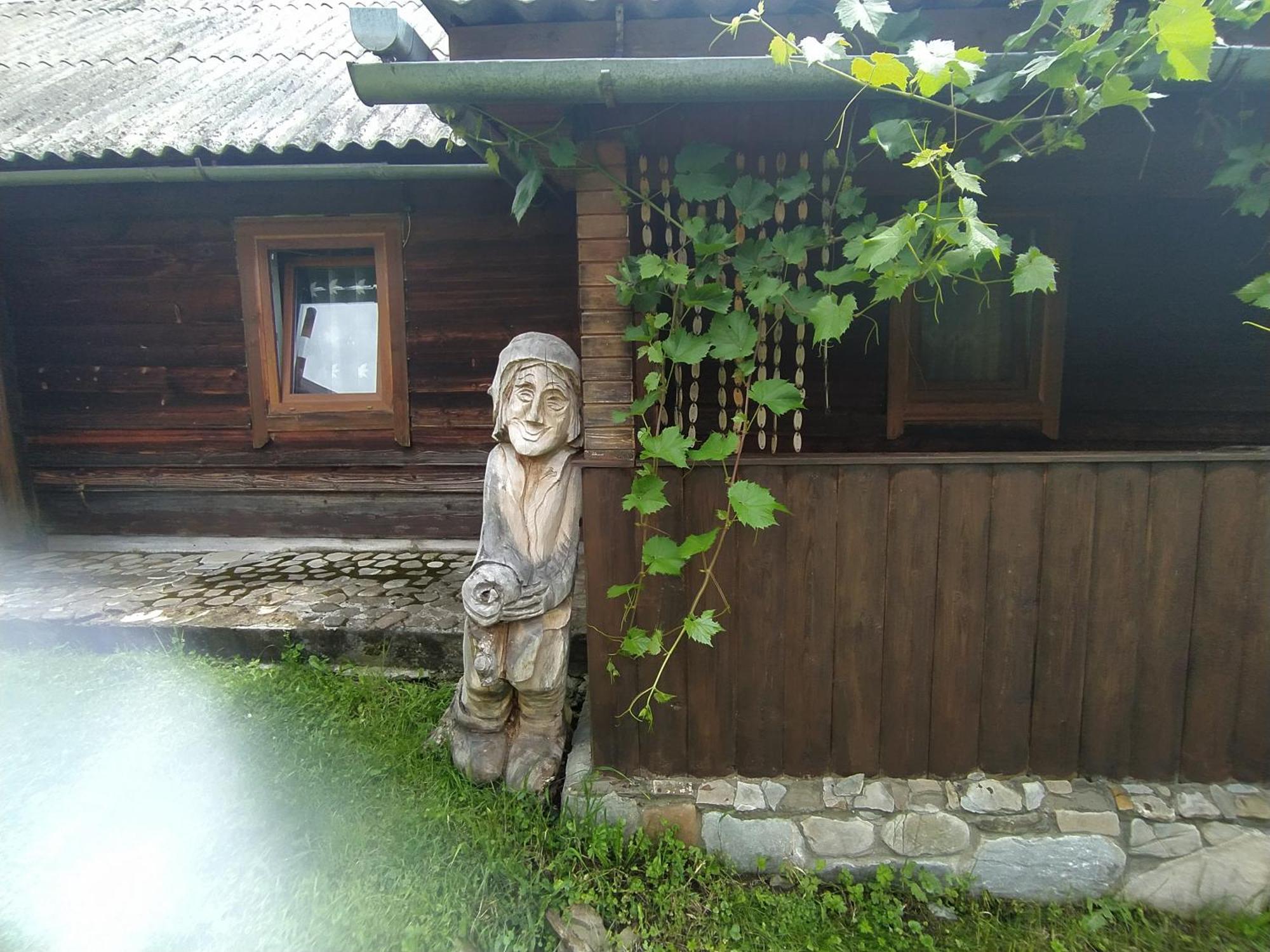 Starovitska Hata - Ethno-Cottage Verhovina Kültér fotó
