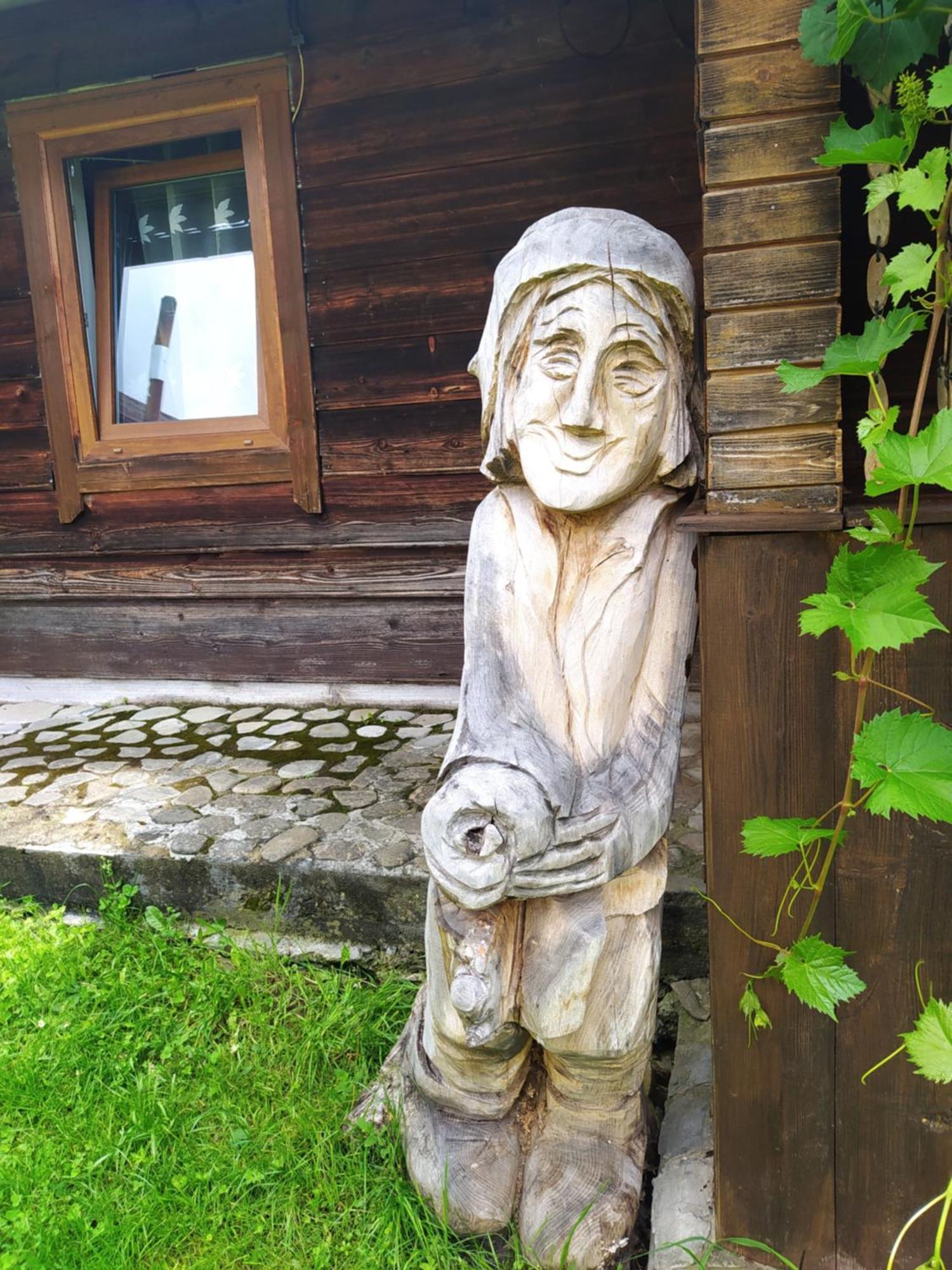 Starovitska Hata - Ethno-Cottage Verhovina Kültér fotó