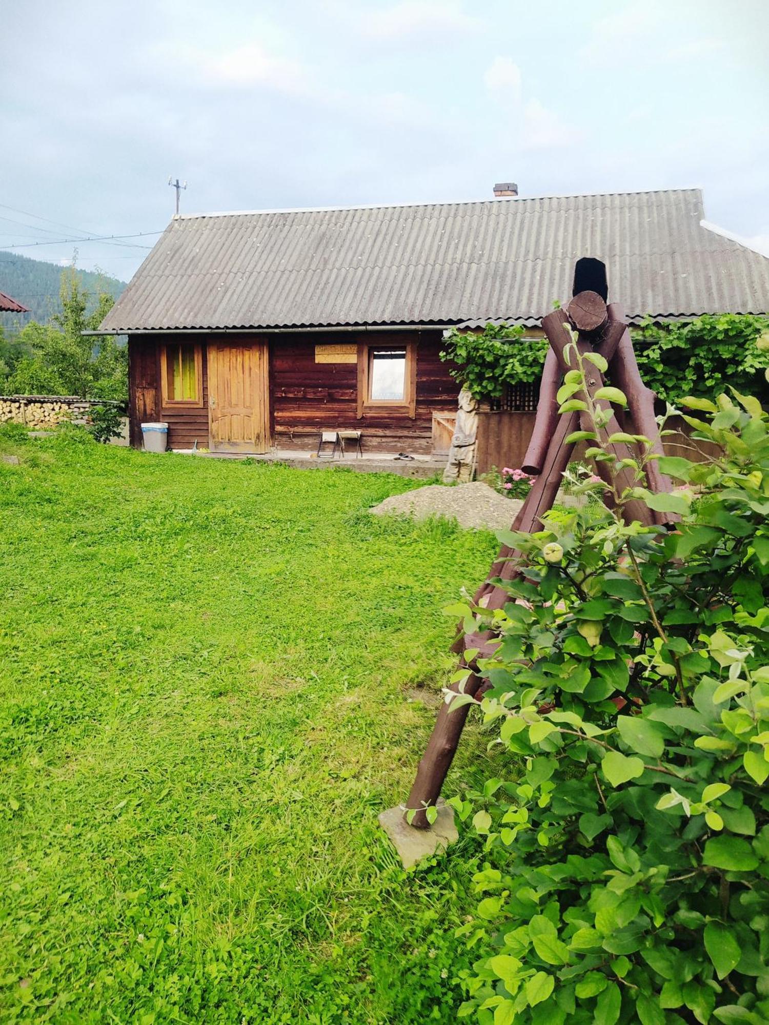 Starovitska Hata - Ethno-Cottage Verhovina Kültér fotó