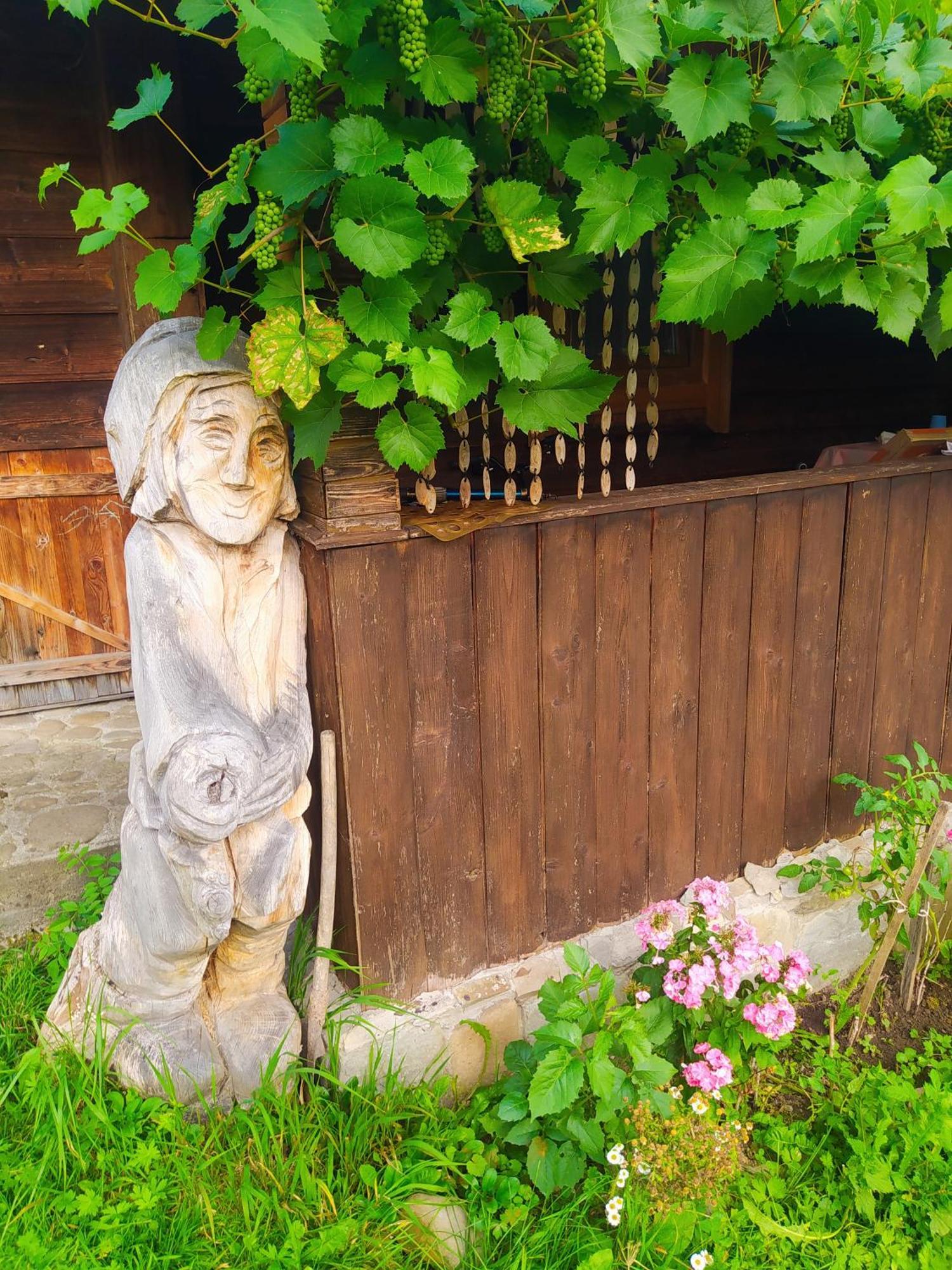 Starovitska Hata - Ethno-Cottage Verhovina Kültér fotó