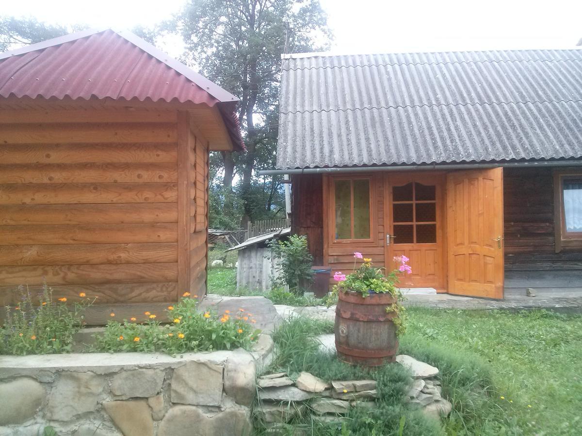 Starovitska Hata - Ethno-Cottage Verhovina Kültér fotó