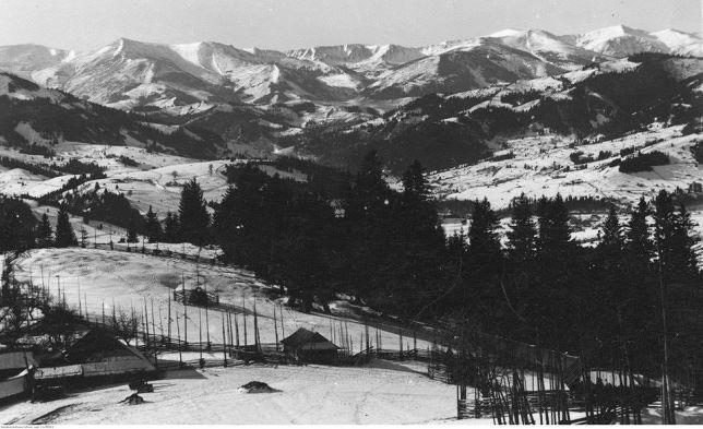 Starovitska Hata - Ethno-Cottage Verhovina Kültér fotó